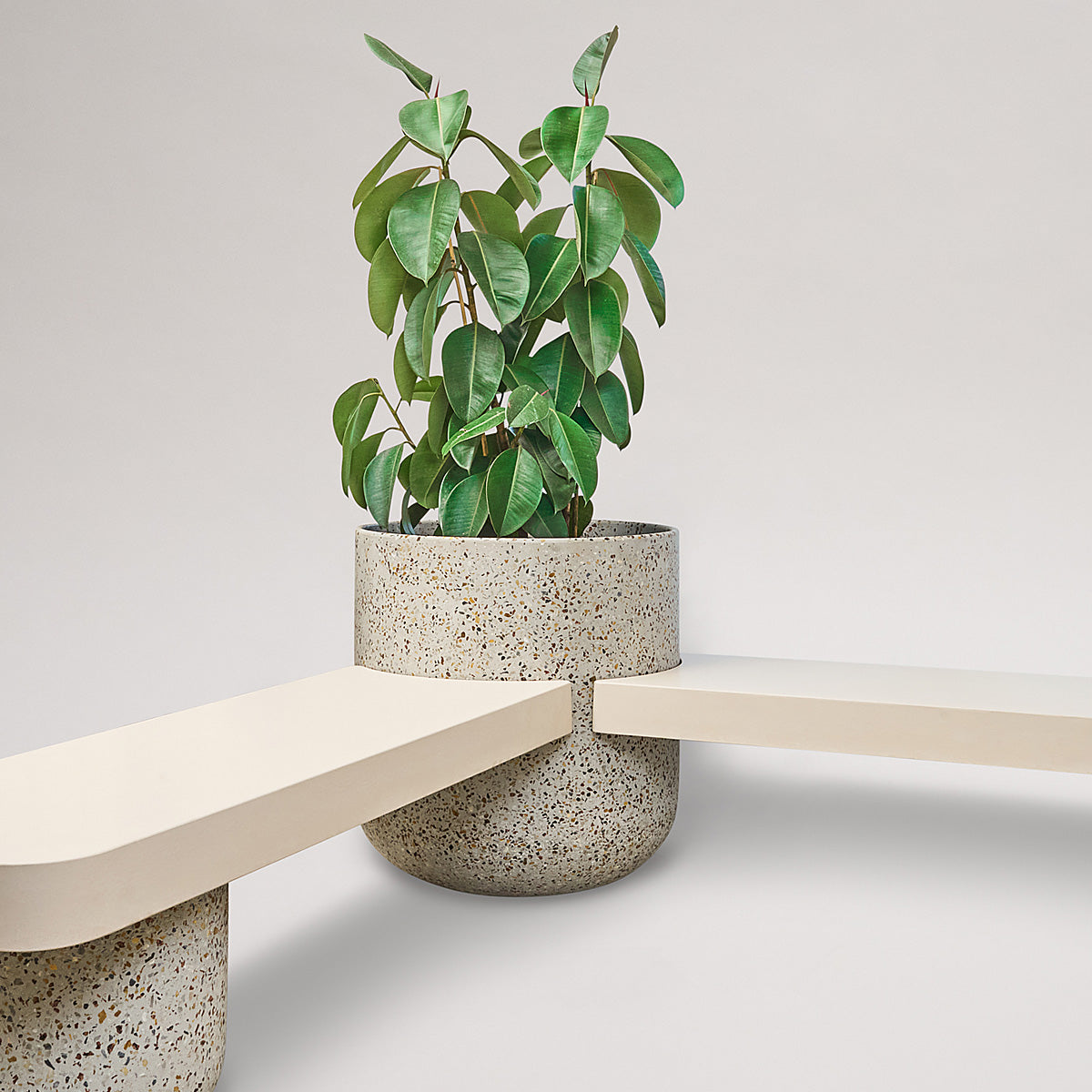Form-s concrete, Souffle Planter